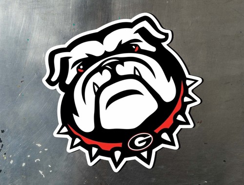 Georgia bulldogs alternate - georgia,